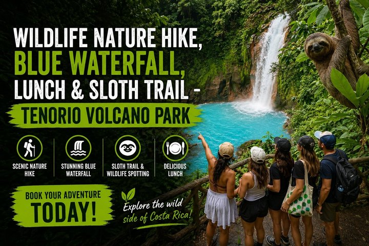 Wildlife Nature Hike, Blue Waterfall, Lunch & Sloth Trail - Tenorio Volcano Park - Photo 1 of 25